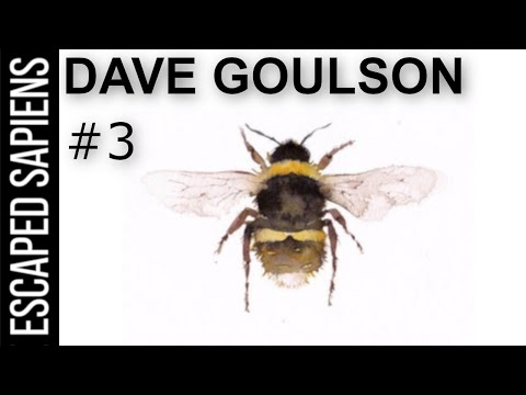 What Is Killing the Bumblebees? | Dave Goulson | Escaped Sapiens Podcast #3