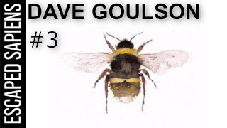 #3 Dave Goulson | What Is Killing the Bumblebees?