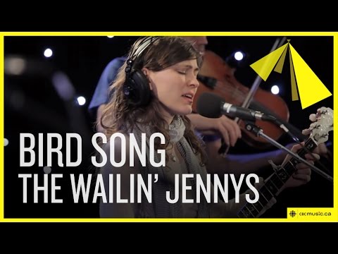 The Wailin' Jennys | Bird Song