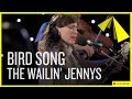 'Bird Song' by The Wailin' Jennys 
