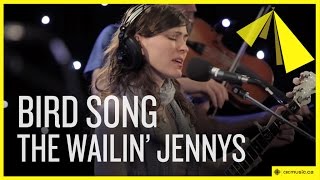 The Wailin&#39; Jennys | Bird Song
