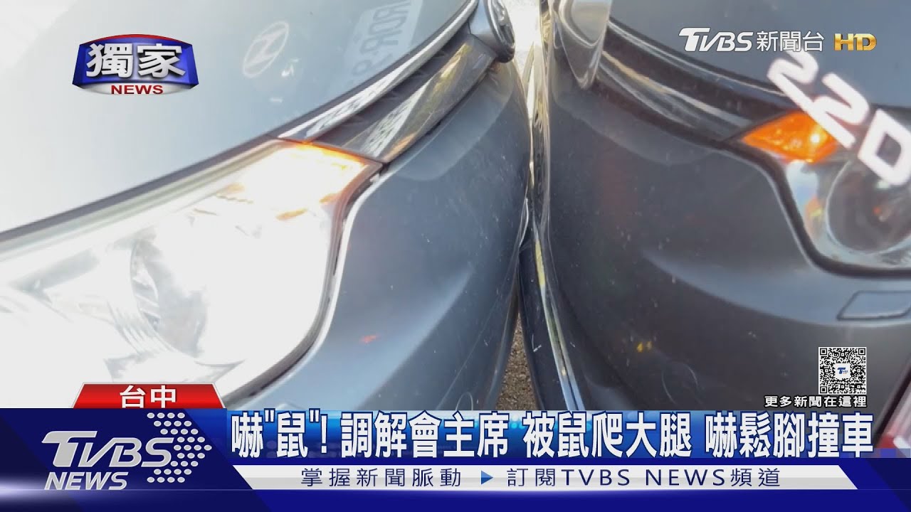 嚇「鼠」惹!台中調解會主席遭老鼠爬大腿 嚇「鼠」鬆煞車釀撞