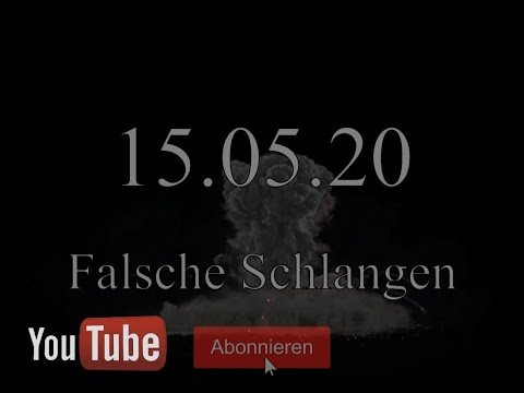 BazZko (feat. BYK) - FALSCHE SCHLANGEN TEASER  !!!15.05.20!!!