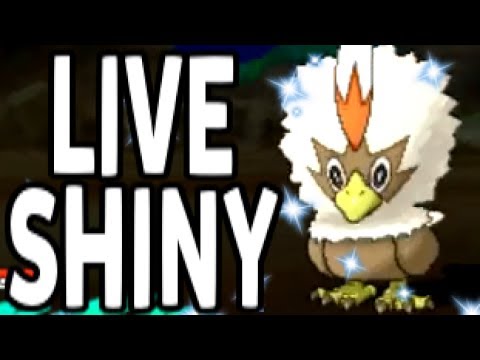 Shiny Rufflet FINALLY! LIVE Shiny Pokemon Reaction after 707 SOS Encounters!