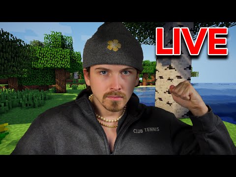 NeverMyFault - Minecraft and Chill :D