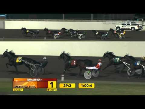 Meadowlands Qualifier #1 - December 12, 2015 - Maestro Blue Chip