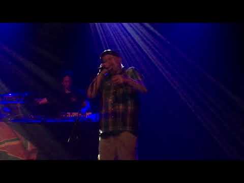 ZION TRAIN ft dubddada & hornsman crew - 30 years ZT 'pt2 @ casino Belgie 091118