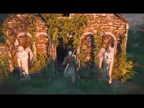 The Witcher 3:Wild Hunt - Doctor Who Easter Egg