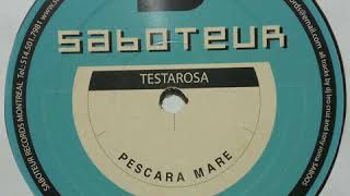 Testarosa - Ffine