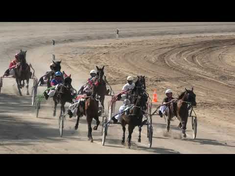 Trka "Armida-1954" 27.06.2021 Dark Wood -  Aleksandar Bogdanović