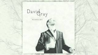 David Gray - Davey Jones&#39; Locker (Official Audio)