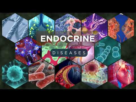 Endocrine Diseases Explained – Causes, Symptoms, & Treatments