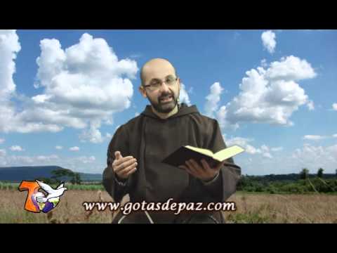 XVI Domingo del Tiempo Ordinario A. 17-07-2011.