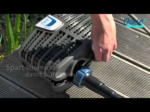 Watch Video on YouTube