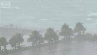 台風9号　沖縄・先島諸島で大規模停電や最大42m暴風　県内10人以上けが【知っておきたい！】【グッド！モーニング】(2026年7月12日)