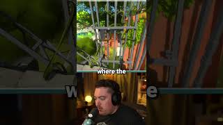 All About the Shadows #avesmhl #puzzlegame #thewitness