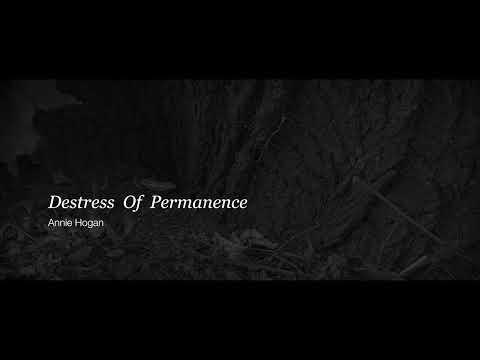 Annie Hogan - Destress Of Permanence (Official Video)