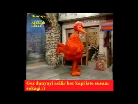 Müzik