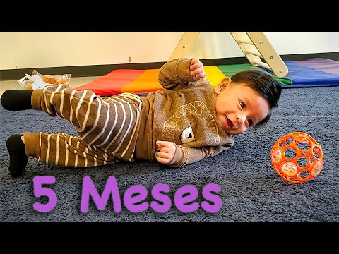 5 Month Old Baby Development | Lorena Vargas Physical Therapist