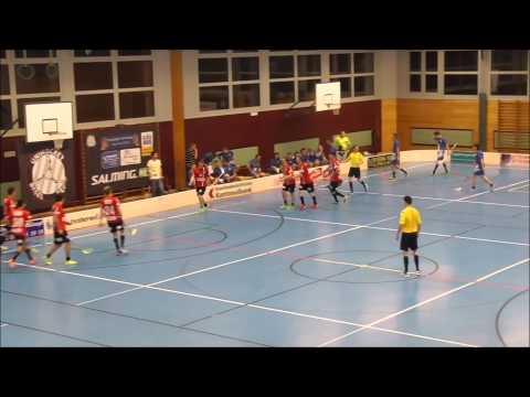 Unihockey Basel Regio - Unihockey Luzern 7.12.2014