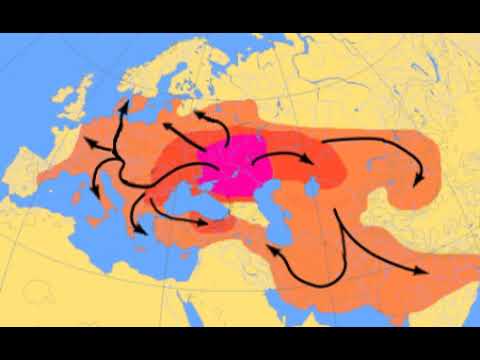 Proto-Indo-Europeans | Wikipedia audio article