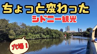 マングローブが見られるリバークルーズが10ドル以下で体験できる！Parramatta