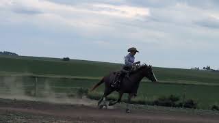 Video 3