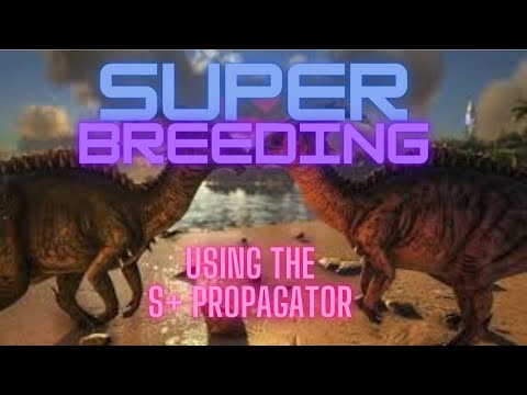 how to breed super fast with the S+ propagator