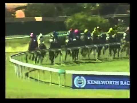 Course de reference - Roman Manner (Cape Guineas) - Racing Association