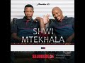 Shwi NoMtekhala Seludlulile