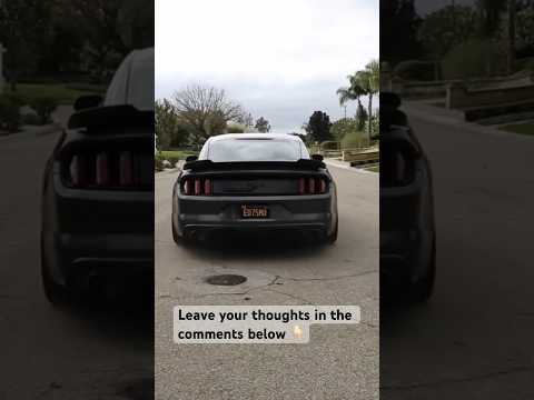 Does the 2.3L ECOBOOST Mustang sound good? 🤔 #mustangecoboost #ecoboost #mustang