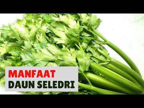 Nozzle meningkatkan ketebalan penis Ulasan torus layanan
