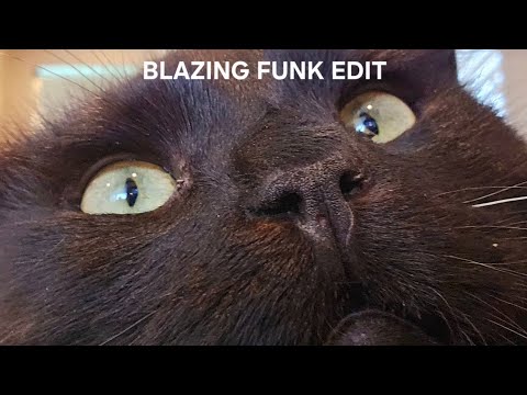 BLAZING FUNK EDIT @daveyblazey