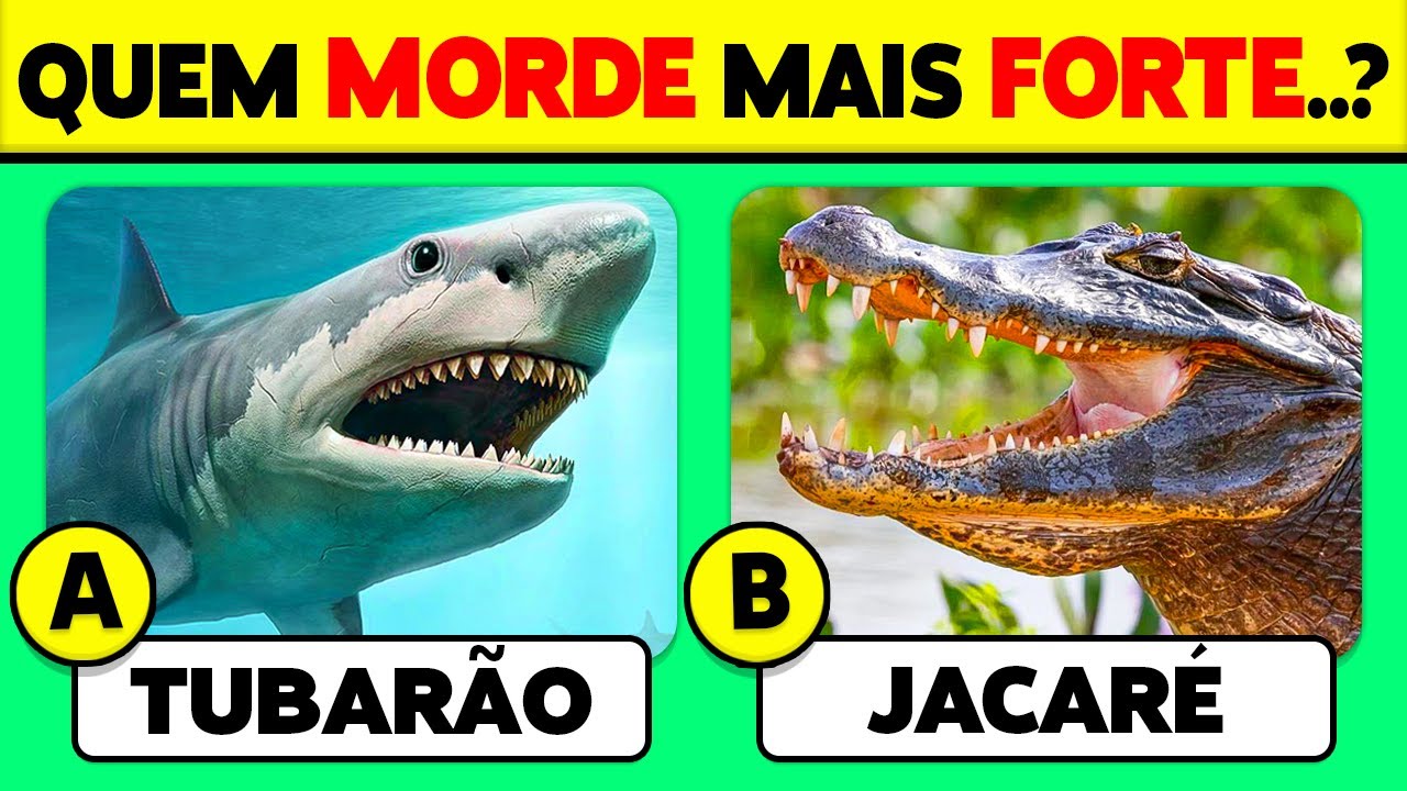 Conhece os ANIMAIS...? 🦓🐒🐦 50 Perguntas de CULTURA GERAL ✅