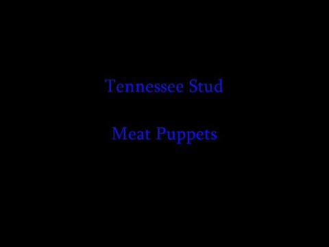 Video thumbnail for Tennessee Stud