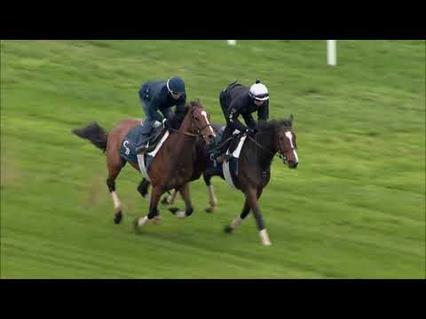 Sistercharlie Works for the F&M Turf