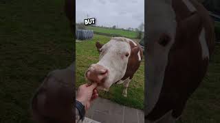 Miniature vidéo