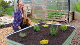 The Garden in April 🌱 Planting a New Herb Bed, Early Tomato Planting, and a Garden Tour