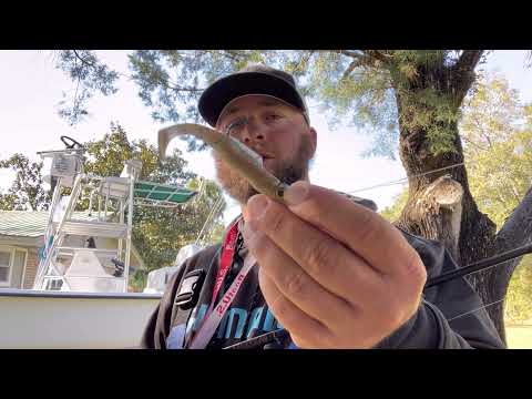 image-What fish are biting in Choctawhatchee Bay?