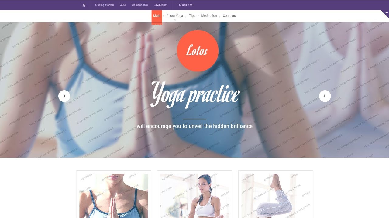 Yoga Responsive Website Template - 46828