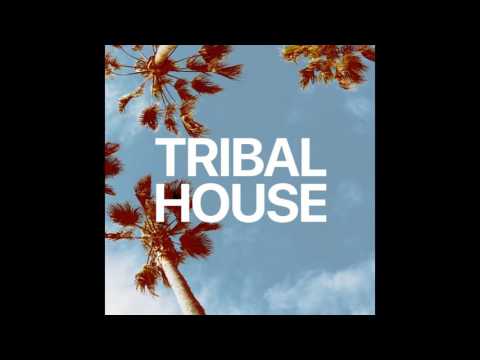 DjPedrinho - Tribal House (Promo Mix)