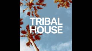 DjPedrinho - Tribal House (Promo Mix)