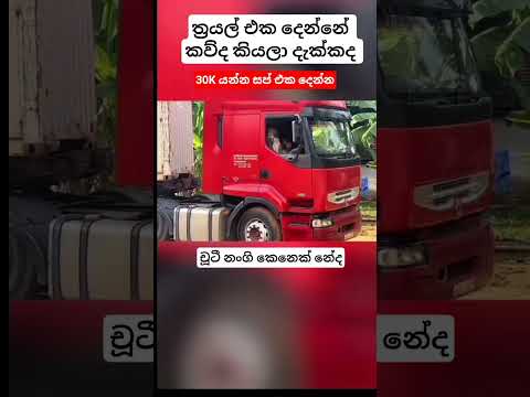 30K යන්න උදව් කරන්න 🥰 #automobile #vahicles #trucking