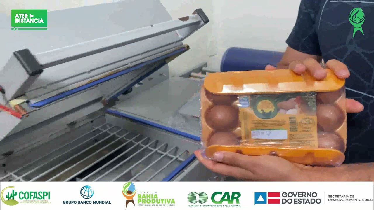 ENTREPOSTO DE OVOS: Conhecendo a rotina de beneficiamento