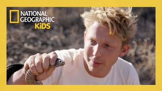 Download lagu The Most Venomous Snakes 🐍 | Out There with Jack Randall Full Episode | @natgeokids mp3 Download lagu The Most Venomous Snakes 🐍 | Out There with Jack Randall Full Episode | @natgeokids mp3