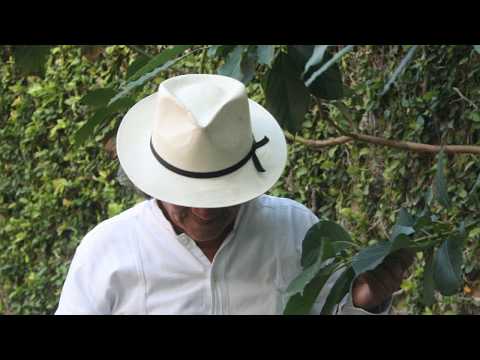 El Despertar De La Consciencia Ancestral Part I