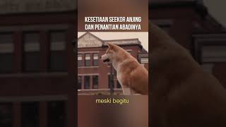 Download lagu A Dog's Loyalty to His Master #shorts #short #dog mp3
