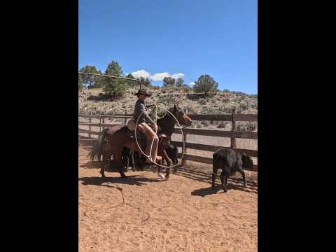 Ocean Wave! #cowboy #cow #rope #ranch #horses