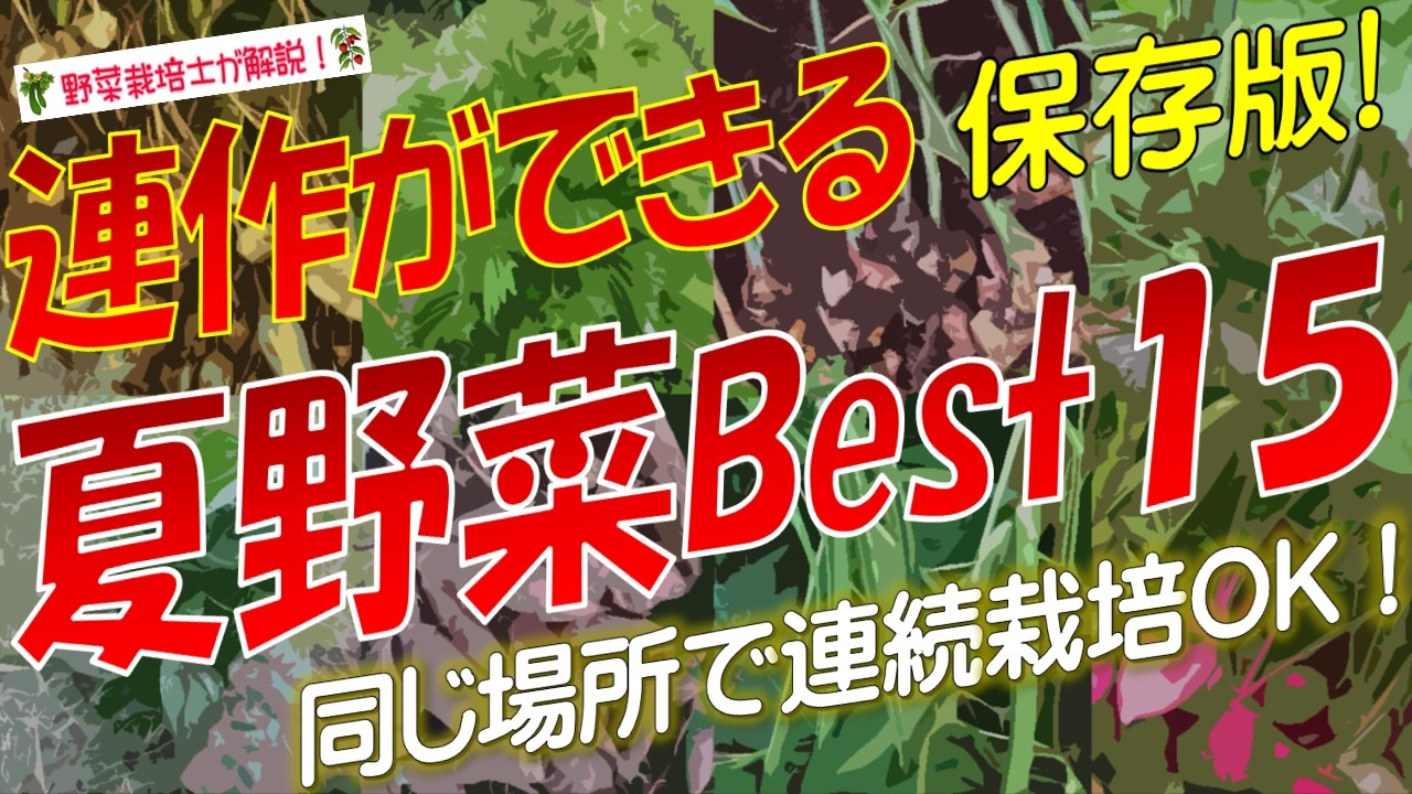 連作できる夏野菜（春植え野菜）ランキングBest15