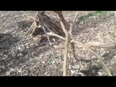 Unser neues lager shelter